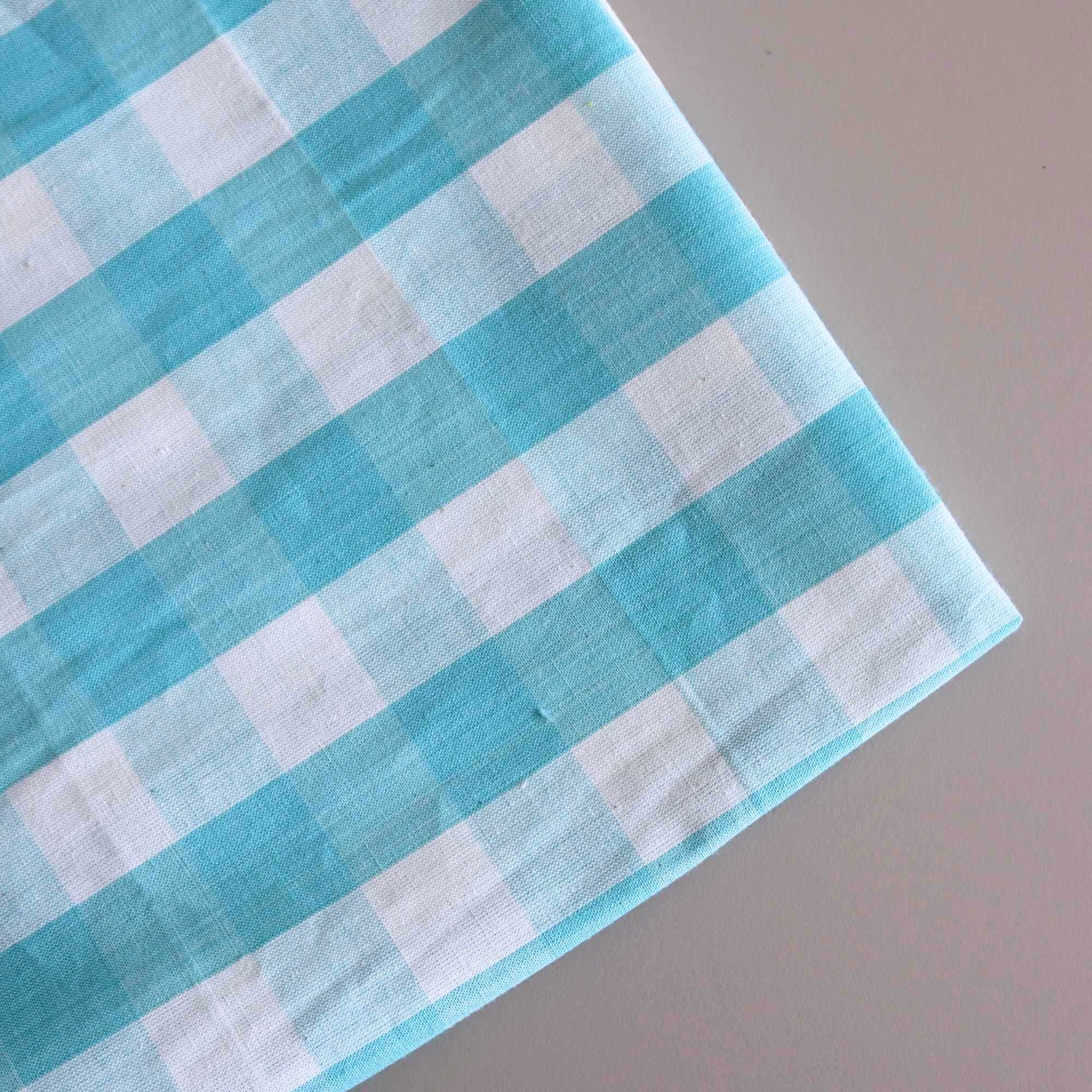 Aqua - Large Organic Cotton Gingham - sewecofabrics