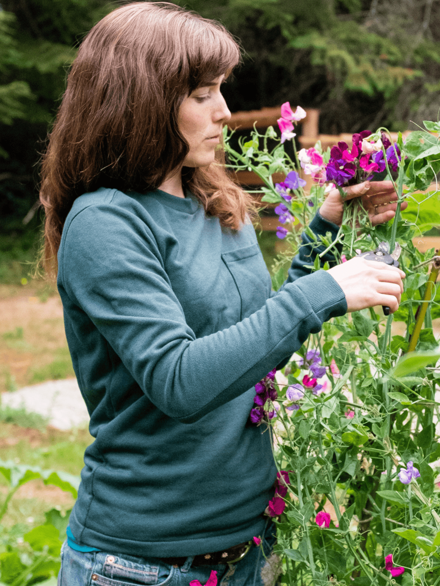 Woodley Tee - PDF Sewing Pattern - sewecofabrics