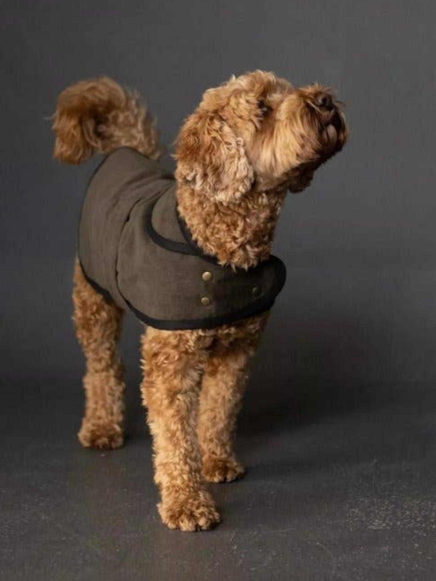 The Barka Dog Coat - Paper Sewing Pattern