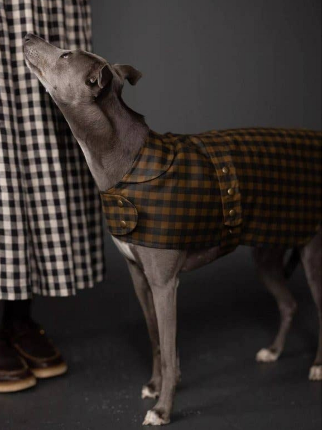 The Barka Dog Coat - Paper Sewing Pattern