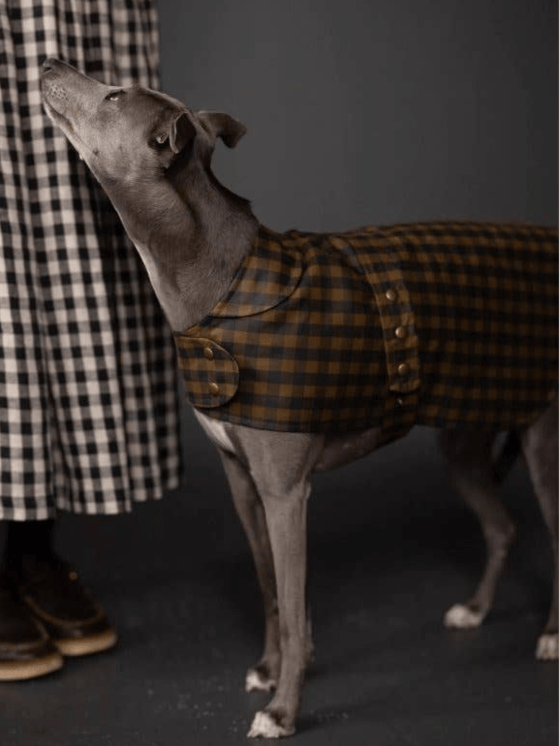 The Barka Dog Coat - Paper Sewing Pattern - sewecofabrics