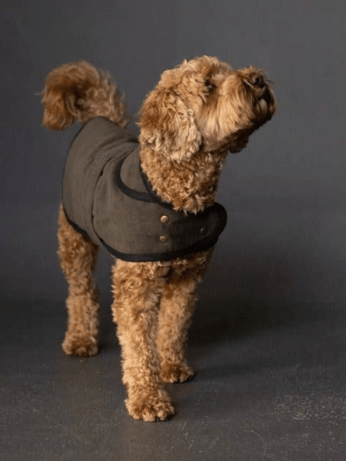 The Barka Dog Coat - Paper Sewing Pattern - sewecofabrics