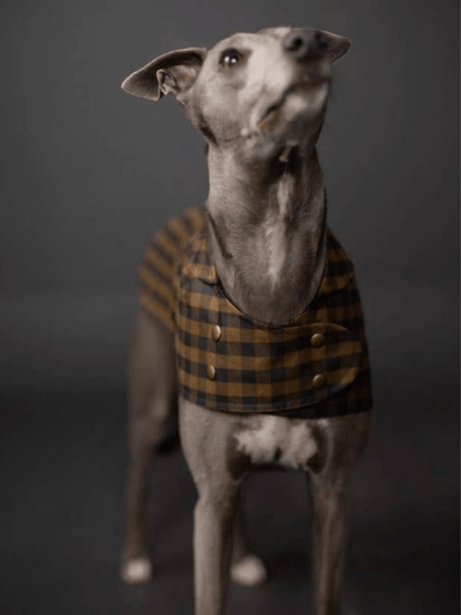 The Barka Dog Coat - Paper Sewing Pattern - sewecofabrics